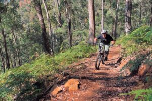 Indigo Epic Trail | Ride Republic Beechworth Victoria